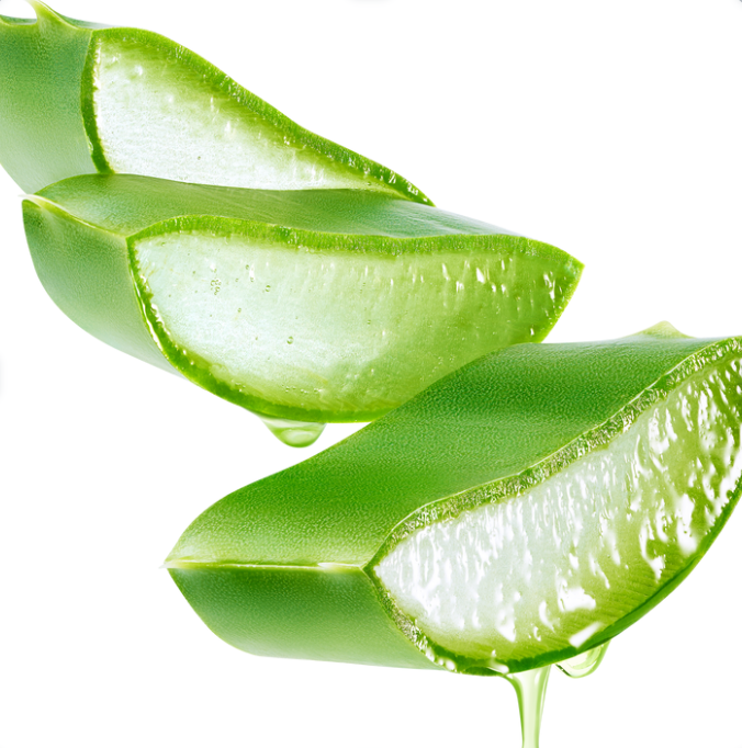 l'aloe vera, ingrédient qui se retrouve dans le soin naturel "hydra glow.